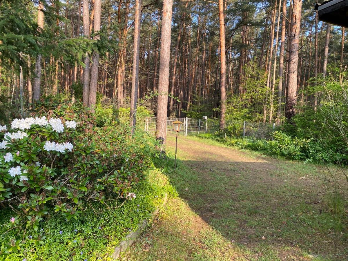 Ferienhaus Im Wald Borkwalde ภายนอก รูปภาพ