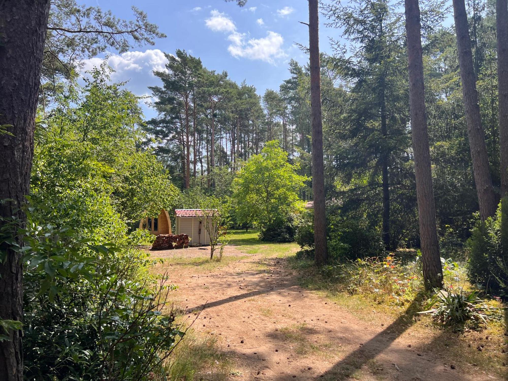 Ferienhaus Im Wald Borkwalde ภายนอก รูปภาพ