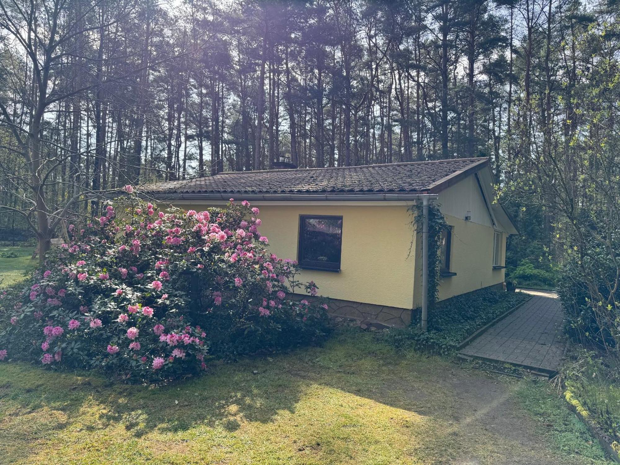 Ferienhaus Im Wald Borkwalde ภายนอก รูปภาพ
