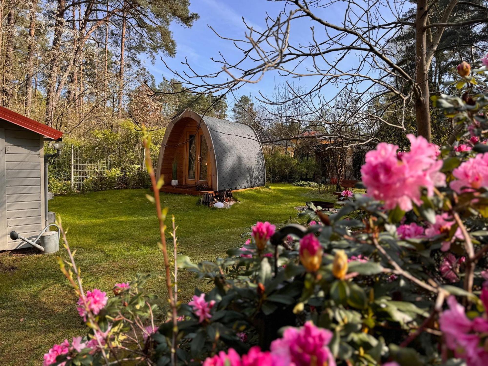 Ferienhaus Im Wald Borkwalde ภายนอก รูปภาพ
