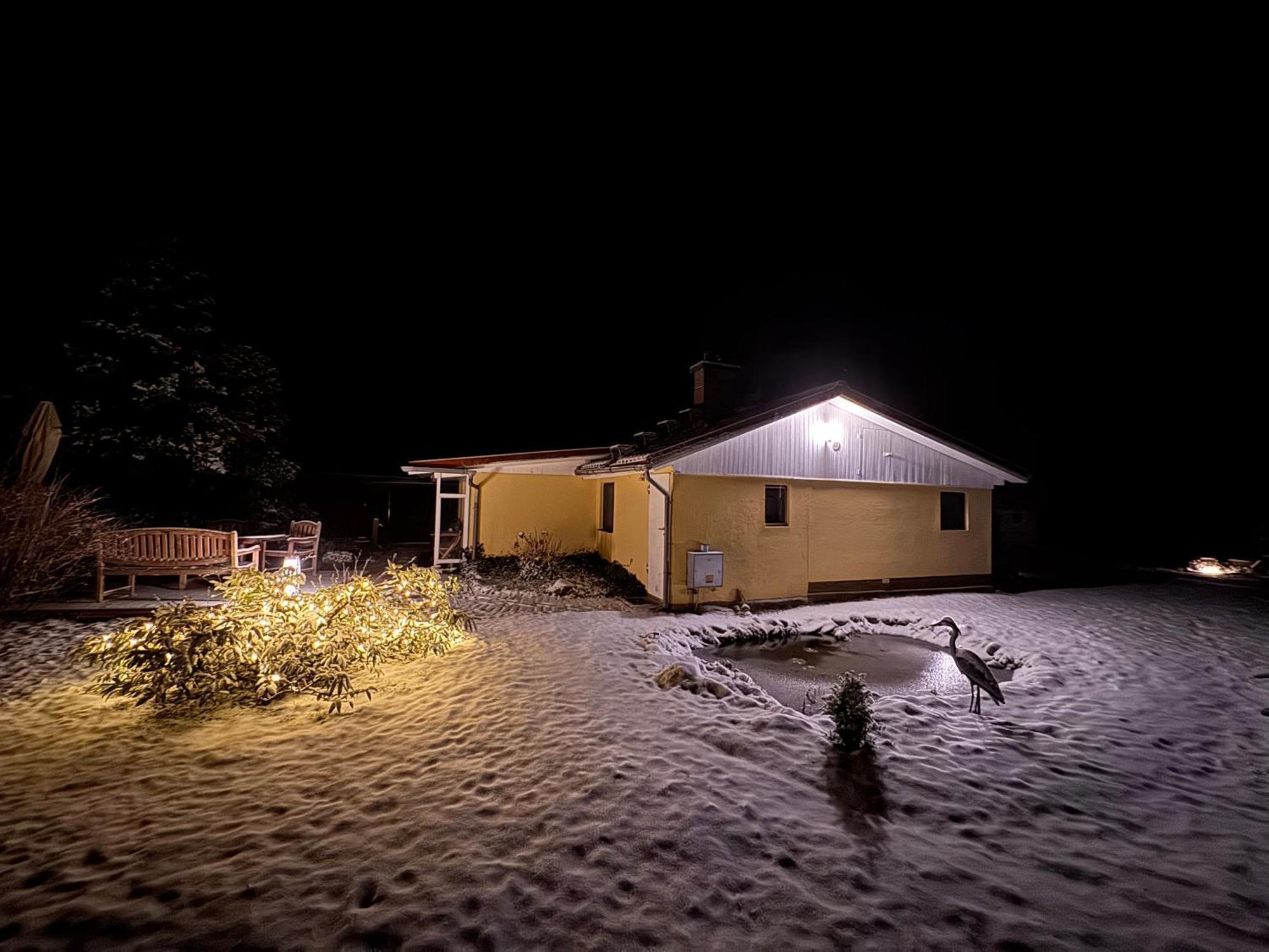 Ferienhaus Im Wald Borkwalde ภายนอก รูปภาพ